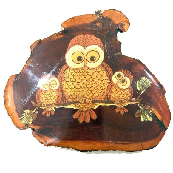 Set of 3 Owl Wall Plaques Wood Slab Art Bird Retro 1970s Whimsical Cottage core - Picture 1 of 13